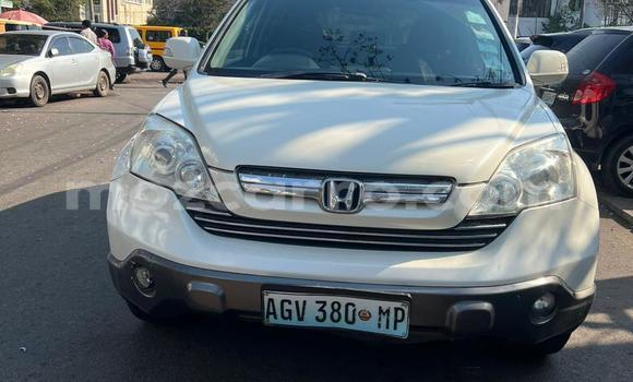 Tenga Tsaru Honda CR-X Chena Mota in Maputo in Maputo Tenga Tsaru Honda CR-X Chena Mota in Maputo in Maputo