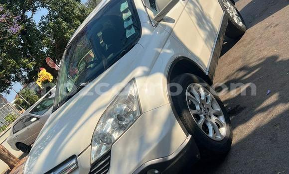 Tenga Tsaru Honda CR-X Chena Mota in Maputo in Maputo Tenga Tsaru Honda CR-X Chena Mota in Maputo in Maputo