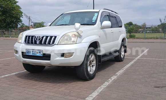 Buy Used Toyota Land Cruiser Prado White Car in Maputo in Maputo Buy Used Toyota Land Cruiser Prado White Car in Maputo in Maputo