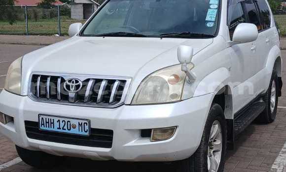 Buy Used Toyota Land Cruiser Prado White Car in Maputo in Maputo Buy Used Toyota Land Cruiser Prado White Car in Maputo in Maputo
