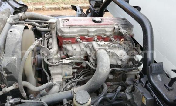 Tenga Tsaru Hino 300 Series Chena Rori in Gilé in Zambezia Tenga Tsaru Hino 300 Series Chena Rori in Gilé in Zambezia