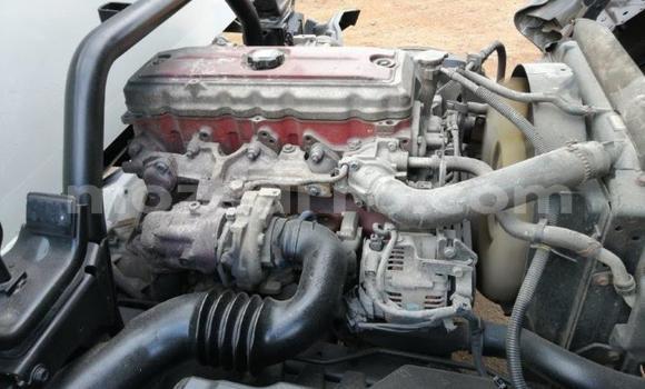 Tenga Tsaru Hino 300 Series Chena Rori in Gilé in Zambezia Tenga Tsaru Hino 300 Series Chena Rori in Gilé in Zambezia