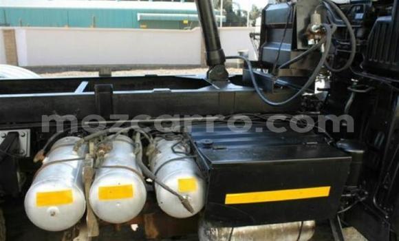 Tenga Tsaru Hino Ranger Chena Rori in Gilé in Zambezia Tenga Tsaru Hino Ranger Chena Rori in Gilé in Zambezia