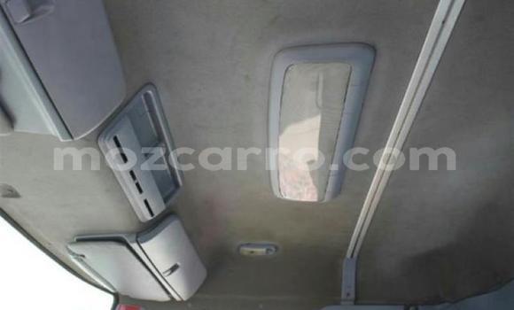 Tenga Tsaru Hino Ranger Chena Rori in Gilé in Zambezia Tenga Tsaru Hino Ranger Chena Rori in Gilé in Zambezia