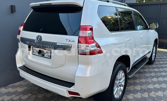 Buy New Toyota Land Cruiser Prado White Car in Maputo in Maputo Buy New Toyota Land Cruiser Prado White Car in Maputo in Maputo