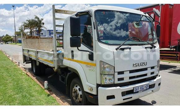 Buy Used Isuzu FTR 850 White Truck in Gilé in Zambezia Buy Used Isuzu FTR 850 White Truck in Gilé in Zambezia