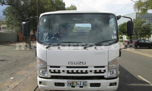 Tenga Tsaru Isuzu FTR 850 Chena Rori in Gilé in Zambezia Tenga Tsaru Isuzu FTR 850 Chena Rori in Gilé in Zambezia