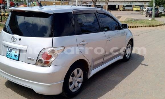 Tenga Tsaru Toyota IST Chena Mota in Maputo in Maputo Tenga Tsaru Toyota IST Chena Mota in Maputo in Maputo