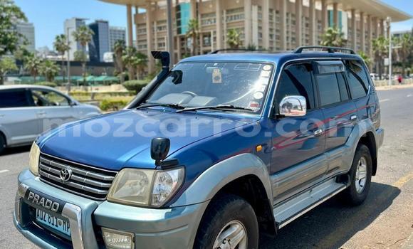 Nunua Ilio tumika Toyota Land Cruiser Prado Bluu Gari ndani ya Maputo nchini Maputo Nunua Ilio tumika Toyota Land Cruiser Prado Bluu Gari ndani ya Maputo nchini Maputo