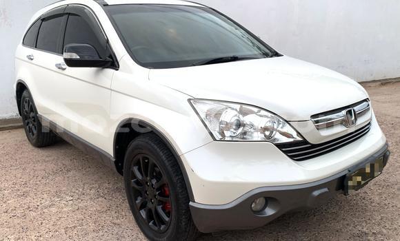 Tenga Tsaru Honda CR-V Chena Mota in Maputo in Maputo Tenga Tsaru Honda CR-V Chena Mota in Maputo in Maputo