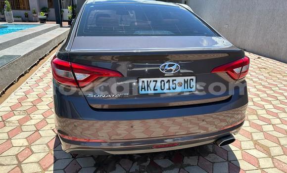 Tenga Tsaru Hyundai Sonata Other Mota in Maputo in Maputo Tenga Tsaru Hyundai Sonata Other Mota in Maputo in Maputo
