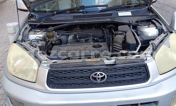 Tenga Tsaru Toyota RAV4 Other Mota in Maputo in Maputo Tenga Tsaru Toyota RAV4 Other Mota in Maputo in Maputo