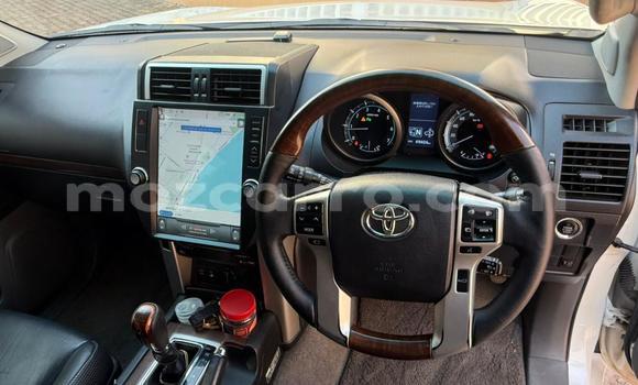 Tenga Tsaru Toyota Land Cruiser Prado Chena Mota in Maputo in Maputo Tenga Tsaru Toyota Land Cruiser Prado Chena Mota in Maputo in Maputo