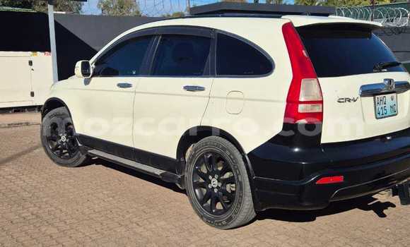 Tenga Tsaru Honda CR-V Chena Mota in Maputo in Maputo Tenga Tsaru Honda CR-V Chena Mota in Maputo in Maputo