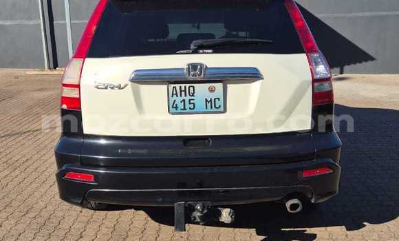Tenga Tsaru Honda CR-V Chena Mota in Maputo in Maputo Tenga Tsaru Honda CR-V Chena Mota in Maputo in Maputo