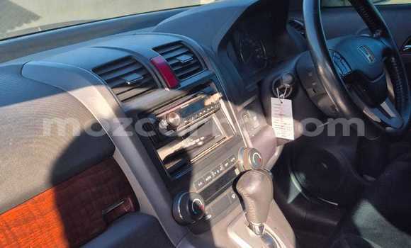 Tenga Tsaru Honda CR-V Chena Mota in Maputo in Maputo Tenga Tsaru Honda CR-V Chena Mota in Maputo in Maputo