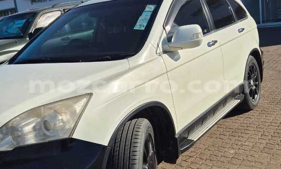 Tenga Tsaru Honda CR-V Chena Mota in Maputo in Maputo Tenga Tsaru Honda CR-V Chena Mota in Maputo in Maputo