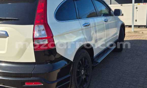 Tenga Tsaru Honda CR-V Chena Mota in Maputo in Maputo Tenga Tsaru Honda CR-V Chena Mota in Maputo in Maputo