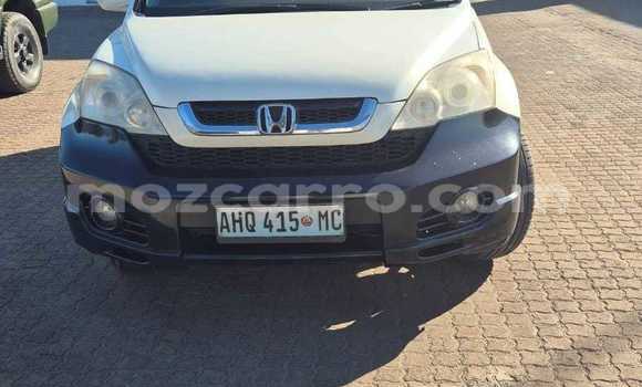 Tenga Tsaru Honda CR-V Chena Mota in Maputo in Maputo Tenga Tsaru Honda CR-V Chena Mota in Maputo in Maputo
