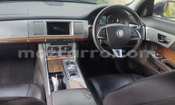 Tenga Tsaru Jaguar XF Nhema Mota in Maputo in Maputo Tenga Tsaru Jaguar XF Nhema Mota in Maputo in Maputo