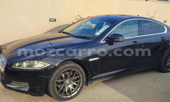 Tenga Tsaru Jaguar XF Nhema Mota in Maputo in Maputo Tenga Tsaru Jaguar XF Nhema Mota in Maputo in Maputo