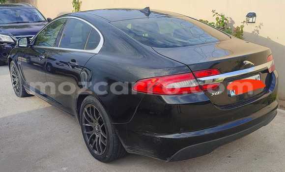 Tenga Tsaru Jaguar XF Nhema Mota in Maputo in Maputo Tenga Tsaru Jaguar XF Nhema Mota in Maputo in Maputo