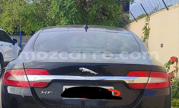 Tenga Tsaru Jaguar XF Nhema Mota in Maputo in Maputo Tenga Tsaru Jaguar XF Nhema Mota in Maputo in Maputo