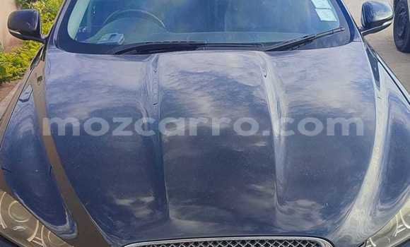 Tenga Tsaru Jaguar XF Nhema Mota in Maputo in Maputo Tenga Tsaru Jaguar XF Nhema Mota in Maputo in Maputo