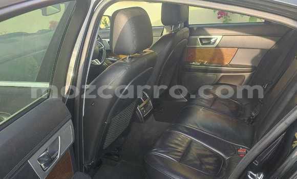 Tenga Tsaru Jaguar XF Nhema Mota in Maputo in Maputo Tenga Tsaru Jaguar XF Nhema Mota in Maputo in Maputo