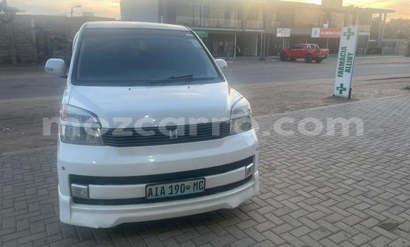 Tenga Tsaru Toyota Voxy Chena Mota in Maputo in Maputo Tenga Tsaru Toyota Voxy Chena Mota in Maputo in Maputo