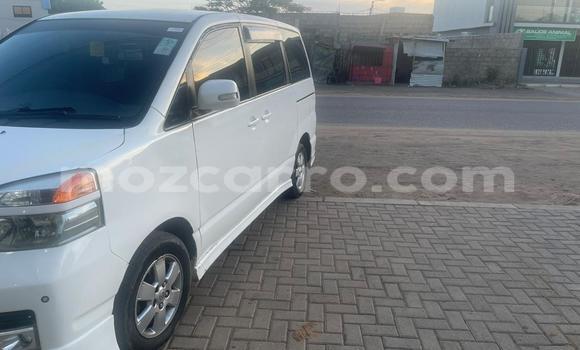 Tenga Tsaru Toyota Voxy Chena Mota in Maputo in Maputo Tenga Tsaru Toyota Voxy Chena Mota in Maputo in Maputo