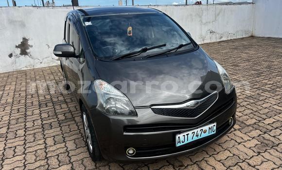 Buy Used Toyota Ractis Brown Car in Maputo in Maputo