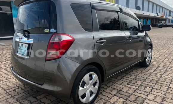 Tenga Tsaru Toyota Ractis Bhurawuni Mota in Maputo in Maputo Tenga Tsaru Toyota Ractis Bhurawuni Mota in Maputo in Maputo