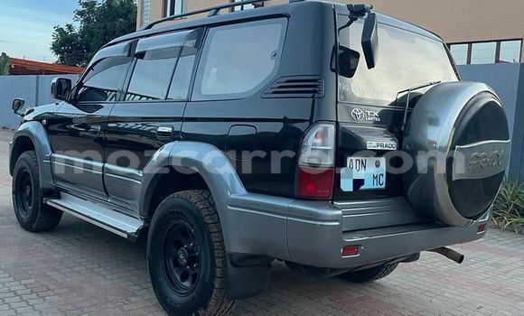 Tenga Tsaru Toyota Land Cruiser Prado Nhema Mota in Maputo in Maputo Tenga Tsaru Toyota Land Cruiser Prado Nhema Mota in Maputo in Maputo