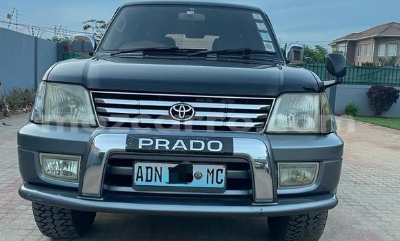 Tenga Tsaru Toyota Land Cruiser Prado Nhema Mota in Maputo in Maputo Tenga Tsaru Toyota Land Cruiser Prado Nhema Mota in Maputo in Maputo