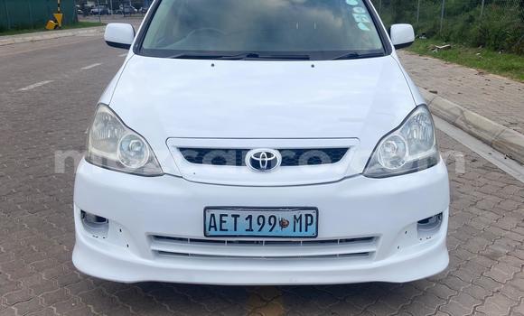 Buy Used Toyota Ipsum White Car in Maputo in Maputo Buy Used Toyota Ipsum White Car in Maputo in Maputo