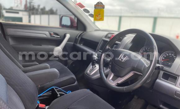 Buy Used Honda CR-V Red Car in Maputo in Maputo Buy Used Honda CR-V Red Car in Maputo in Maputo
