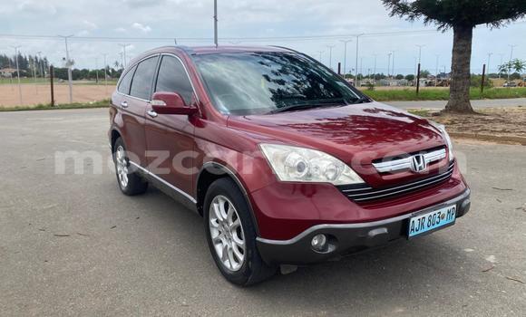 Buy Used Honda CR-V Red Car in Maputo in Maputo Buy Used Honda CR-V Red Car in Maputo in Maputo