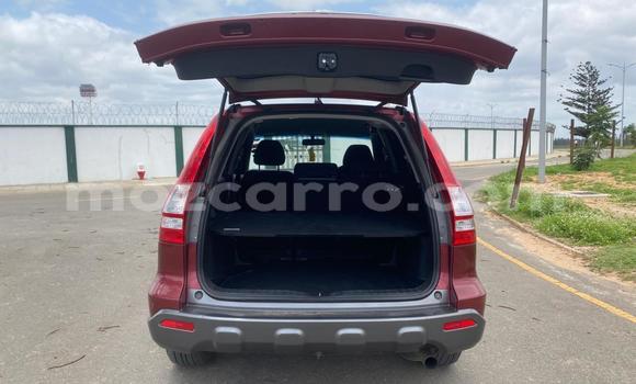 Buy Used Honda CR-V Red Car in Maputo in Maputo Buy Used Honda CR-V Red Car in Maputo in Maputo
