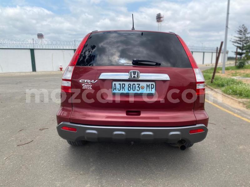 Big with watermark honda cr v maputo maputo 40271