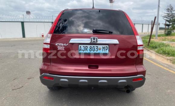Buy Used Honda CR-V Red Car in Maputo in Maputo Buy Used Honda CR-V Red Car in Maputo in Maputo