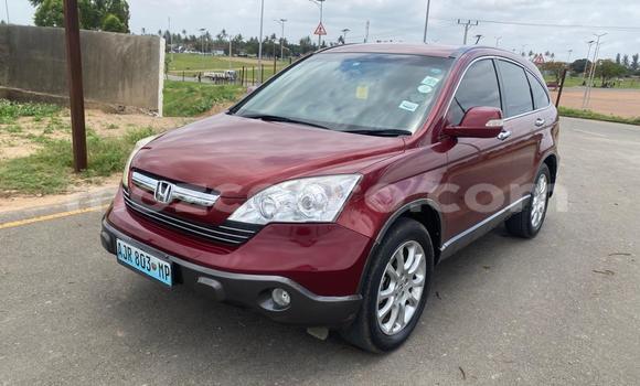 Buy Used Honda CR-V Red Car in Maputo in Maputo Buy Used Honda CR-V Red Car in Maputo in Maputo