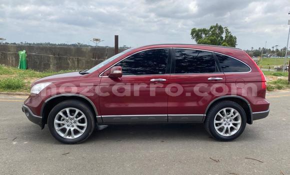 Buy Used Honda CR-V Red Car in Maputo in Maputo Buy Used Honda CR-V Red Car in Maputo in Maputo