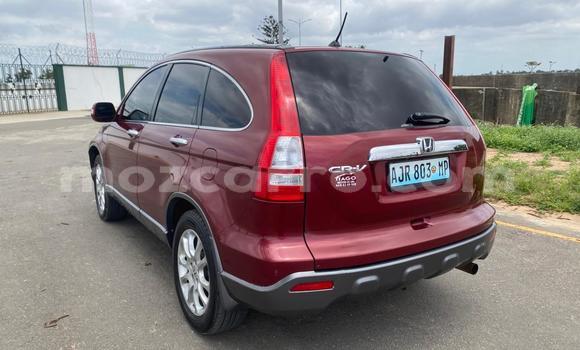 Buy Used Honda CR-V Red Car in Maputo in Maputo Buy Used Honda CR-V Red Car in Maputo in Maputo
