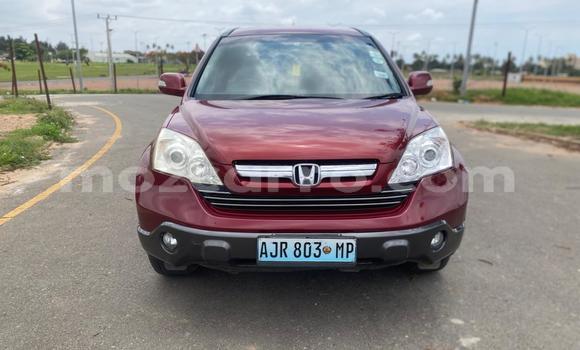 Buy Used Honda CR-V Red Car in Maputo in Maputo Buy Used Honda CR-V Red Car in Maputo in Maputo