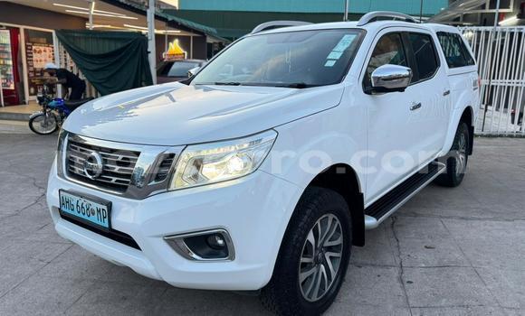 Tenga Tsaru Nissan Navara Chena Mota in Maputo in Maputo Tenga Tsaru Nissan Navara Chena Mota in Maputo in Maputo