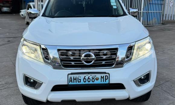 Tenga Tsaru Nissan Navara Chena Mota in Maputo in Maputo Tenga Tsaru Nissan Navara Chena Mota in Maputo in Maputo