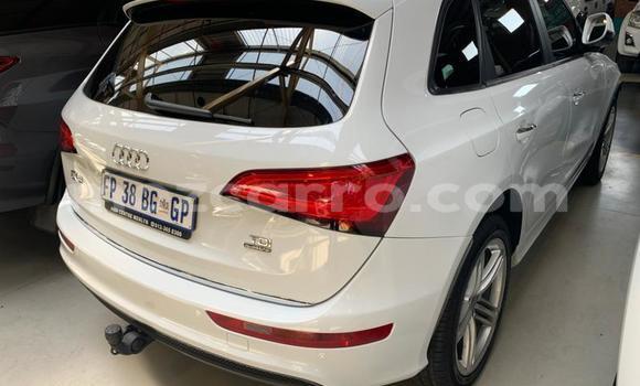 Tenga Tsaru Audi Q5 Chena Mota in Gilé in Zambezia Tenga Tsaru Audi Q5 Chena Mota in Gilé in Zambezia