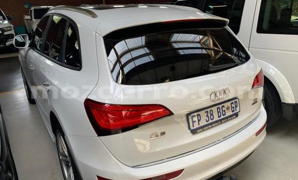 Tenga Tsaru Audi Q5 Chena Mota in Gilé in Zambezia Tenga Tsaru Audi Q5 Chena Mota in Gilé in Zambezia