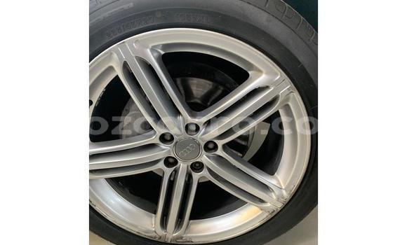 Tenga Tsaru Audi Q5 Chena Mota in Gilé in Zambezia Tenga Tsaru Audi Q5 Chena Mota in Gilé in Zambezia